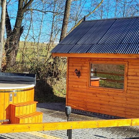Pod Modrzewiami Villa Ciche  Eksteriør bilde